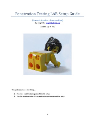 penetration testing methodologies Book