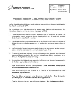 modele declaration effectif Book