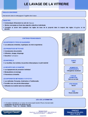 cours lavage des vitres Book