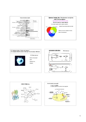 quorum Book