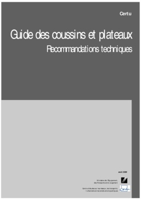 des coussins et plateaux 2010 Book