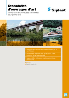 ponts rails Book