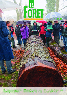 debarquent Book