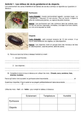 cloporte et gendarme Book
