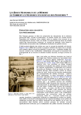 neuronales Book