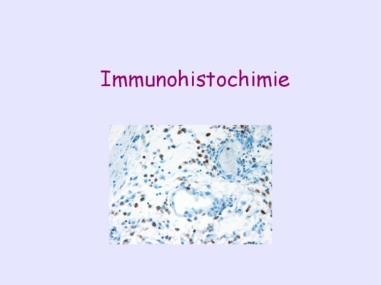 etude immunohistochimie Book