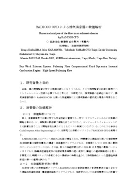 radioss Book