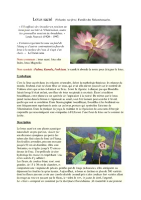 nelumbo Book