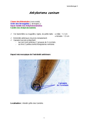ankylostoma Book
