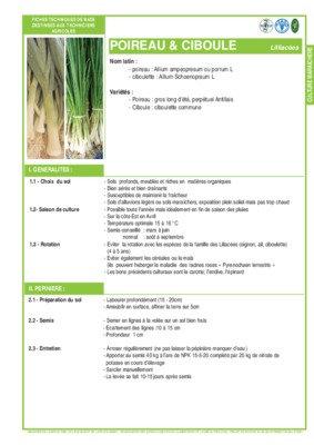 reglage planteuse poireau Book