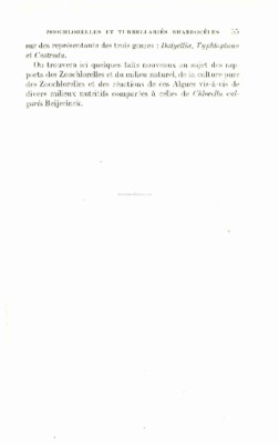 turbellaries Book