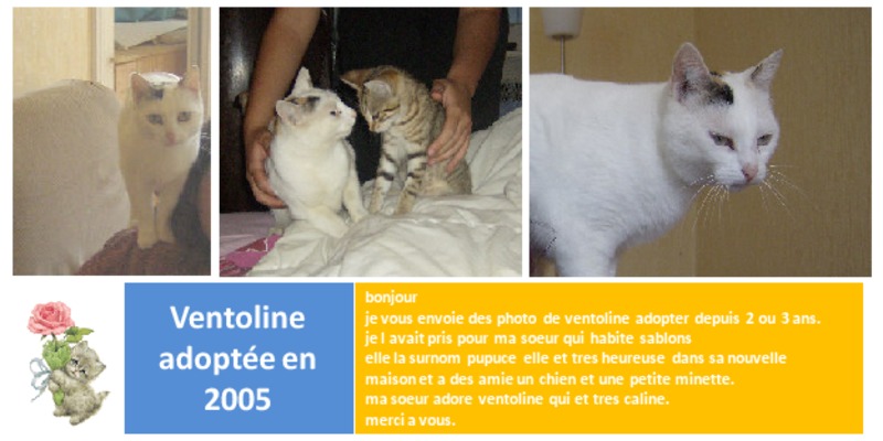 notice de la ventoline Book