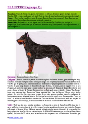 beauceron Book