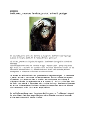 bonobo Book