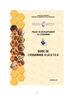 essaimage transport Book