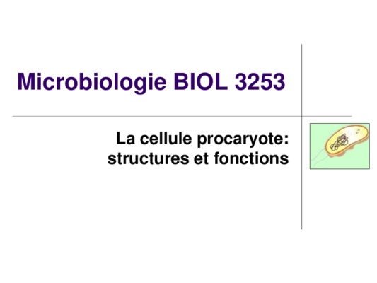structure d_un gene procaryote Book