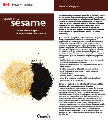 structure microscopique des graines de sesame Book