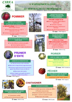 maladies du prunier d ente Book