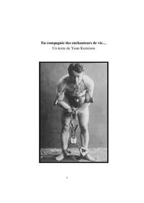 les enchanteurs Book