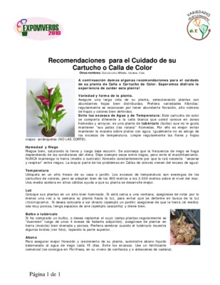 calla Book