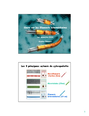 filaments Book