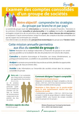 pratique des comptes consolides Book