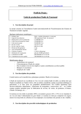 business plan fabrique de parpaings pdf