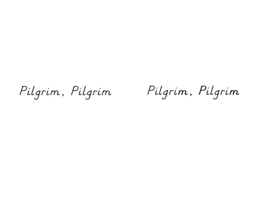 pilgrim fathers Book