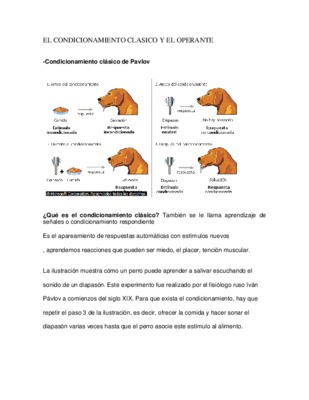 operante Book