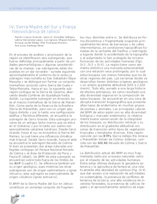 la franja del meridiano Book