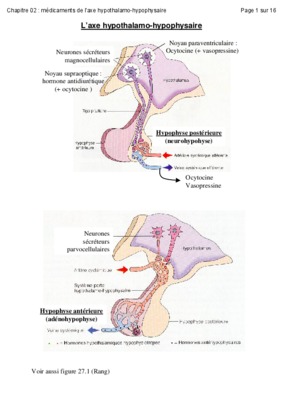 mecanismes de declenchement et la secretion d_adh mis en jeu au niveau hypothalamo hypophysaire Book