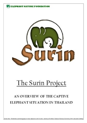 ibn surin Book