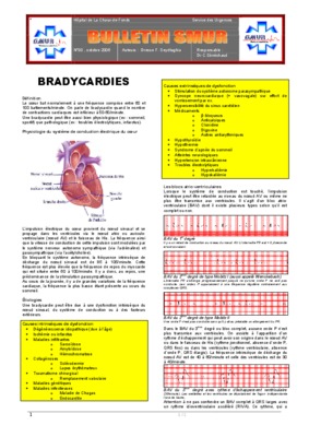bradycardie Book