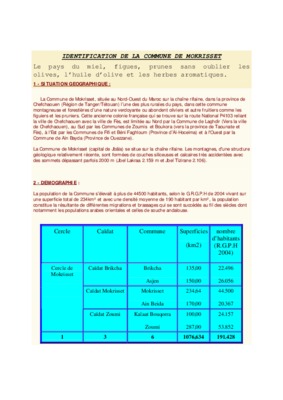 mokrisset Book