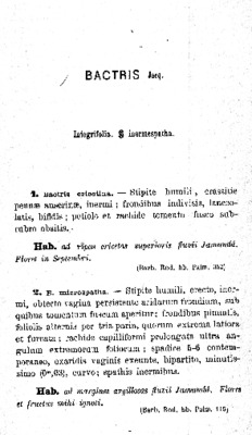 integrifolia Book