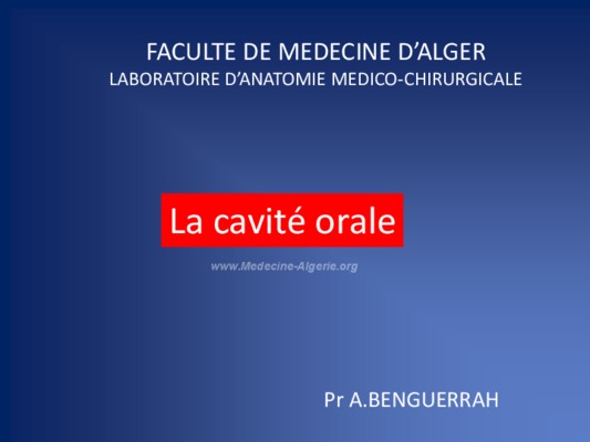 medeine 2004 Book