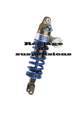 reglage fourche cb1000r Book
