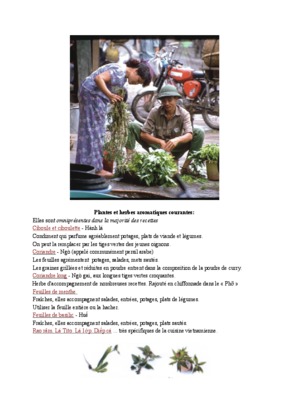 nord vietnamienne Book
