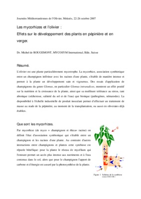 endomycorhize earbuscule Book