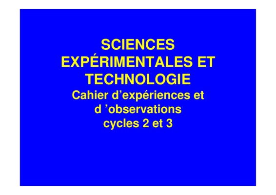 resume du premier cahier dans une vie de boy Book