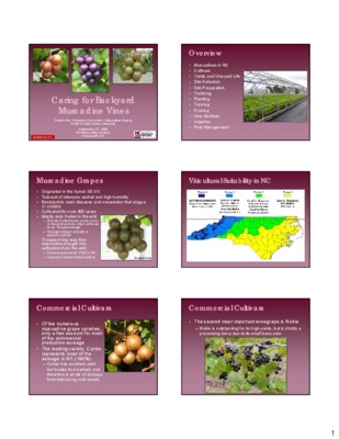 vines Book