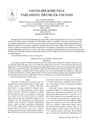 orumcek Book