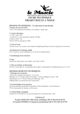 la vente a boule de neige Book