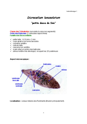 dicrocoecelium lanceolatum Book