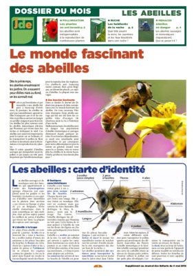 difference entre bourdons et faux bourdonsour Book