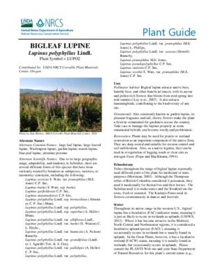 genre lupinus Book