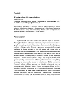 test metabolizm Book
