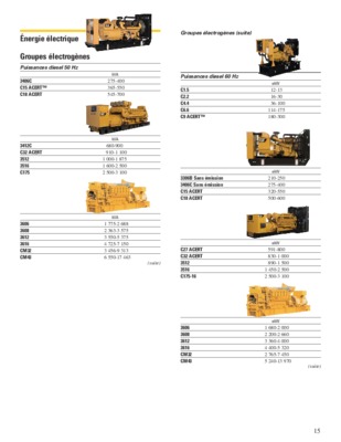 g3306 Book
