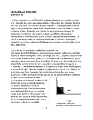 biseautes Book