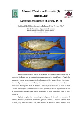dourado Book